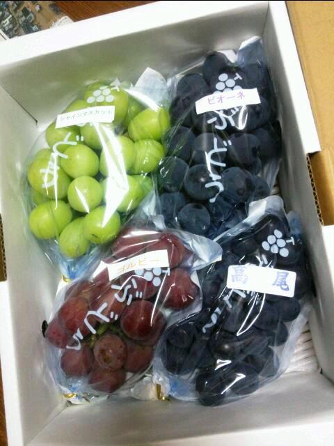 おきたま食の応援団☆抽選でお客様にぶどうが当たりました!