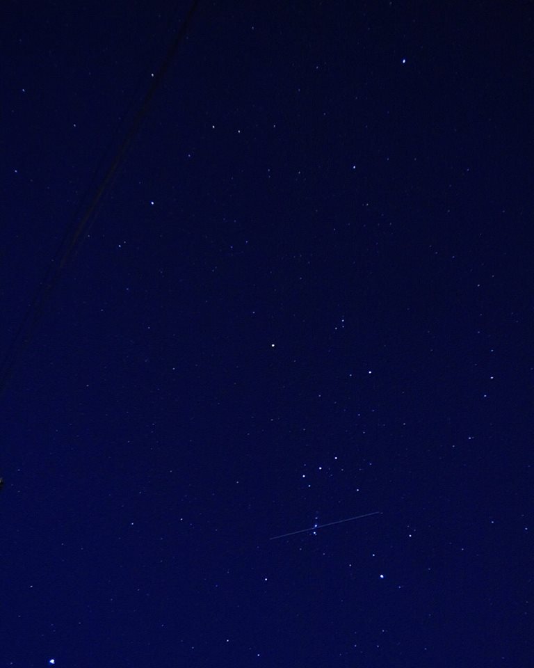 同じ場所で 一緒に 花を 蝶を 星空を オリオン座を 見ているような気がしたよ!