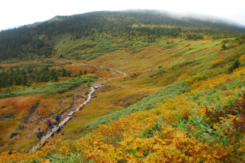 米沢の紅葉の名所「天元台高原」が早くも見頃。一週間早いです!