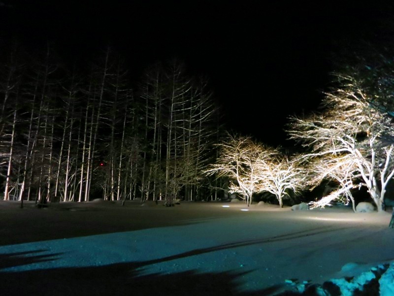 米沢のお正月には雪が似合う。すみれ写真館♪