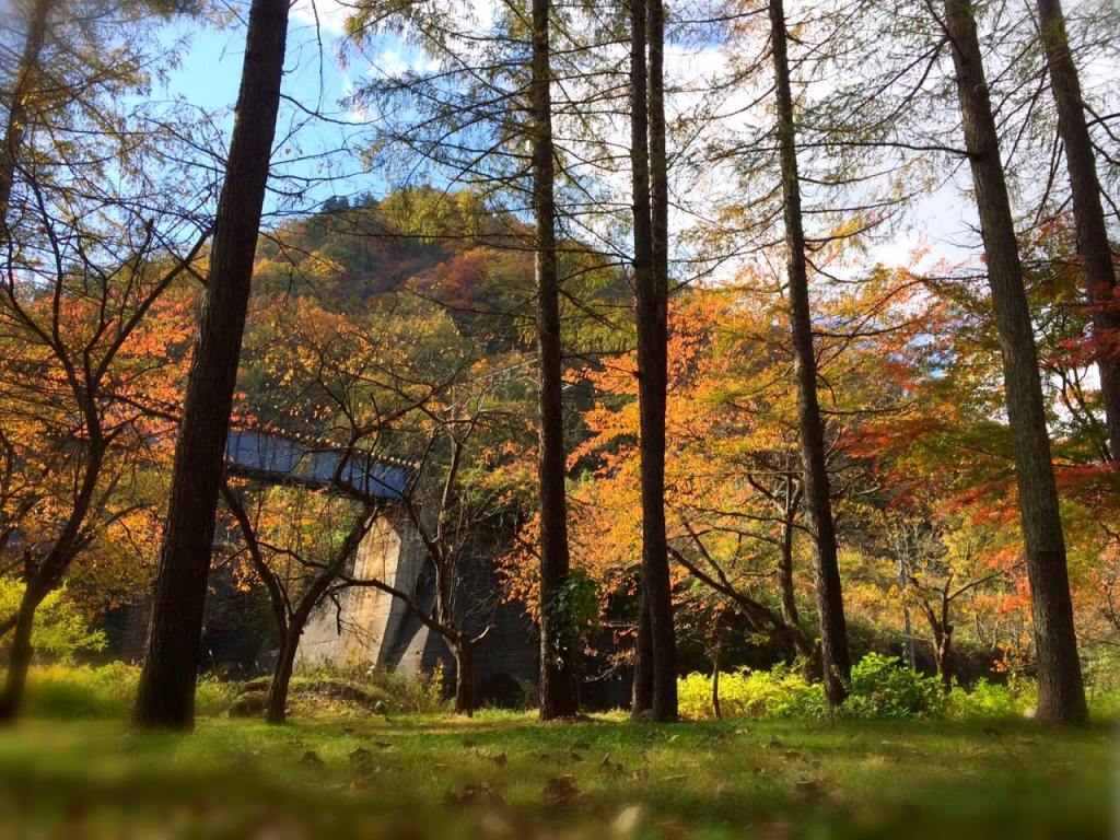 だれかの役にたてることが　嬉しくて　しあわせなこと。ーすみれのひとときー
