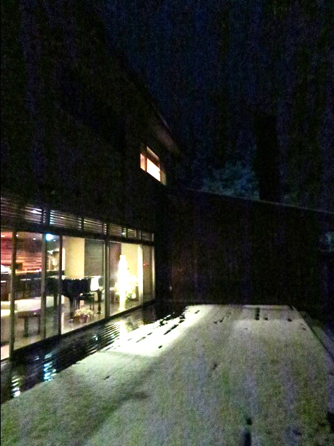 雪のすみれ写真館♪静かに咲く冬の華☆
