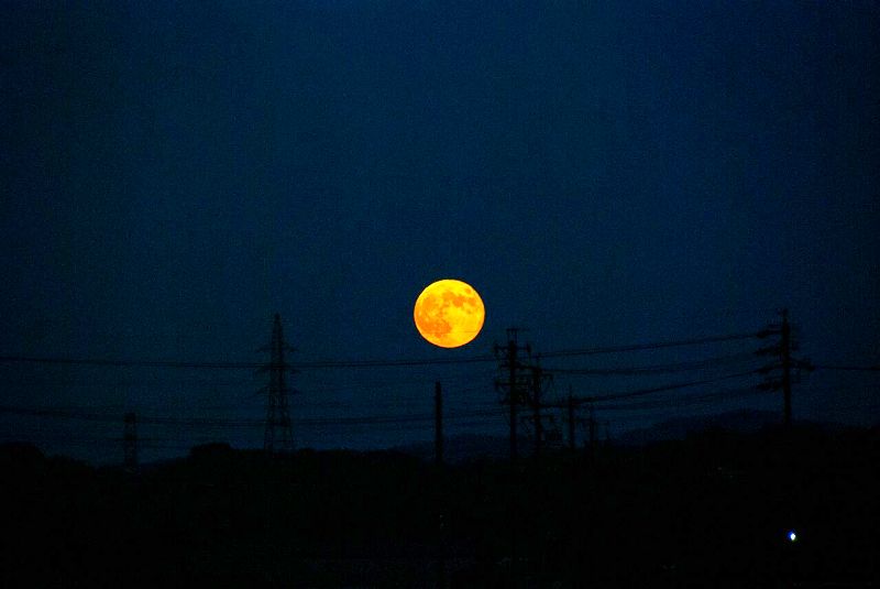 スーパームーンより貴重な関係があることに感謝です。