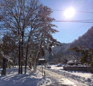 米沢12月の寒波とピカピカ銀世界とすみれの冬メニュー