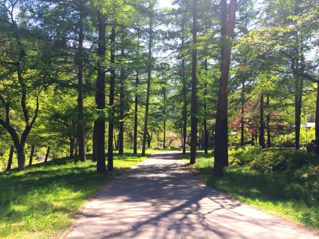 すみれガーデンより