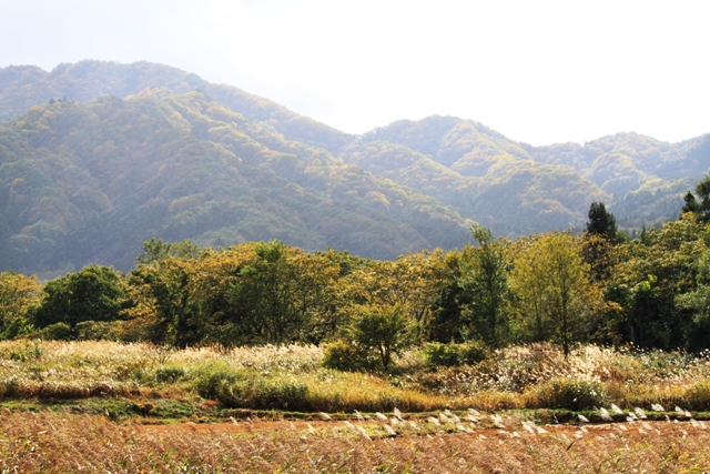 湯の沢温泉から 小野川温泉までのドライブ道♪