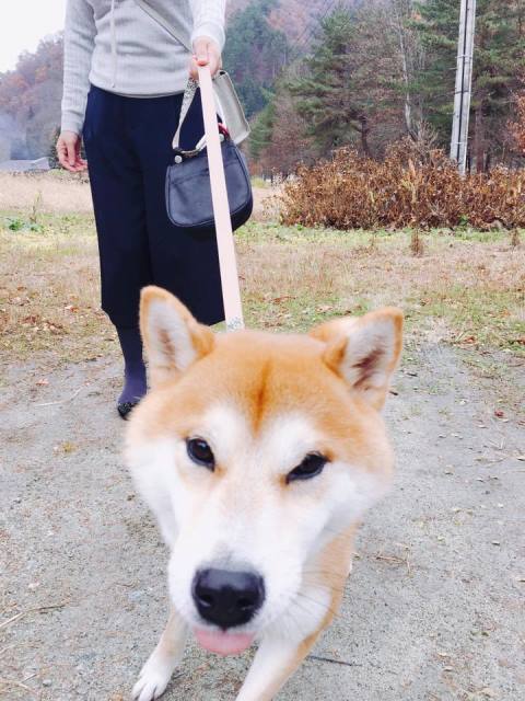 今日も冬支度♪毎日を心地よく過ごして気持ちよく感謝して