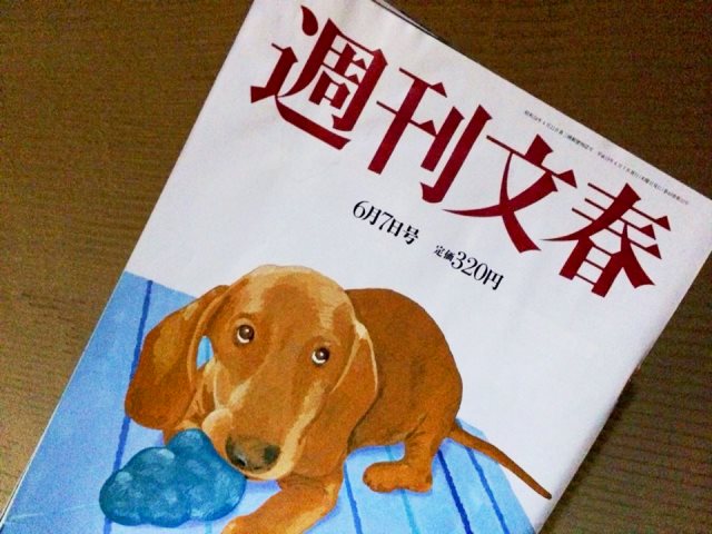 週刊文春の掲載は、3月13日発売・3月20日号です!