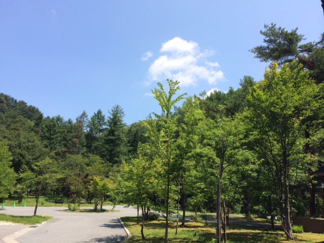 やっぱり「すみれ」が好き♪みんなありがとう!ちゃんと治します。