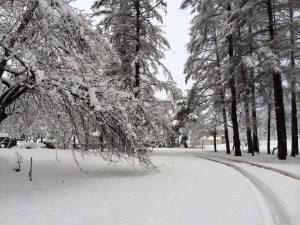 ★国道13号線「関根・水窪ダム区間」が「通行禁止」となりました★