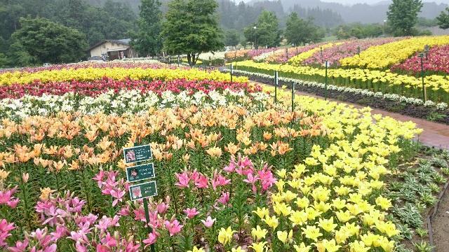 お客様同士が旅の素敵を共有できることって嬉しいことー観光は共感できる人の情報からー