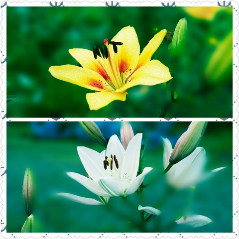 お客様同士が旅の素敵を共有できることって嬉しいことー観光は共感できる人の情報からー